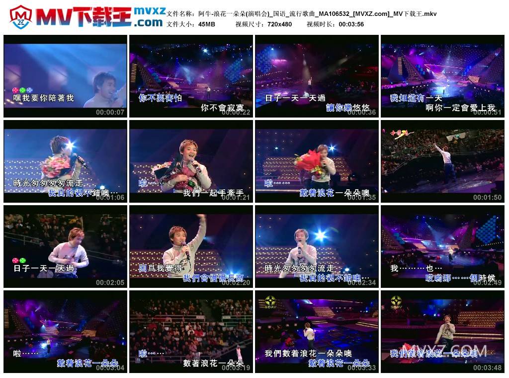 阿牛-浪花一朵朵(演唱会)_国语_流行歌曲_MA106532